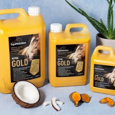 Alpha Gold - 100% Natural Supplement for Horses Needing Joint Support - 1L