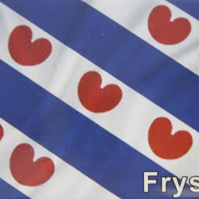 Imán de nevera Bandera Fryslân