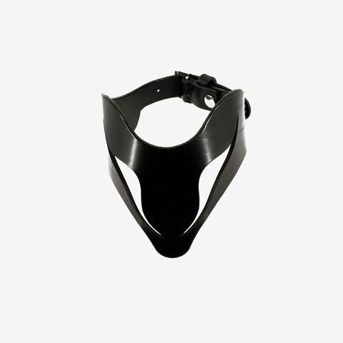 Choker-collar, model Ring leather choker