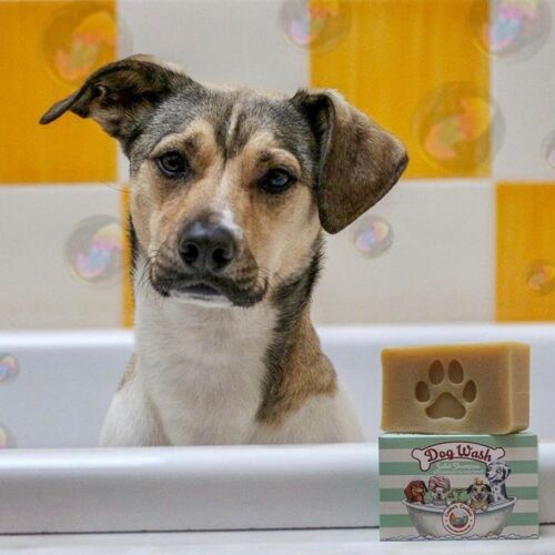 DOG WASH - SOLID SHAMPOO