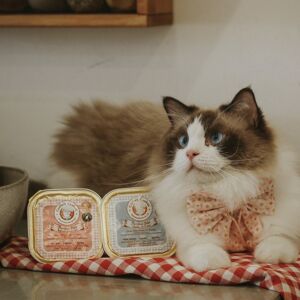 PÂTÉ DE BOEUF COOKA´S PURRFECT