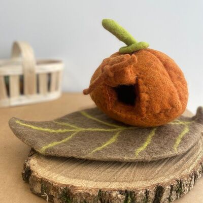 Enchanted Pumpkin Felted Wool House and Rug - PAPOOSE TOYS