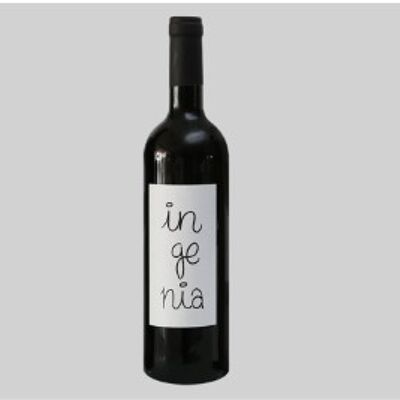 Ingenia vino Madrid D.O.
Tinto roble 2017