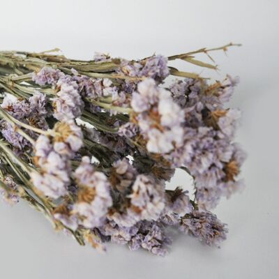 Statice sinuata lila natural - Flores secas