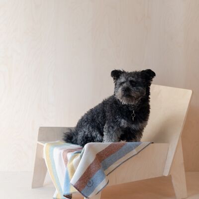 Recycled Wool Small Pet Blanket in Rainbow Stripe