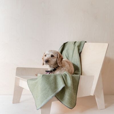 Recycled Wool Large Pet Blanket in Olive Herringbone