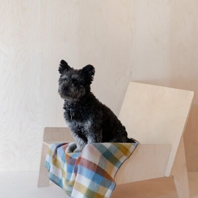 Recycled Wool Small Pet Blanket in Rainbow Herringbone Check