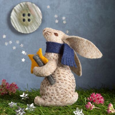 Prof Hare Stargazer Felt Craft Mini Kit