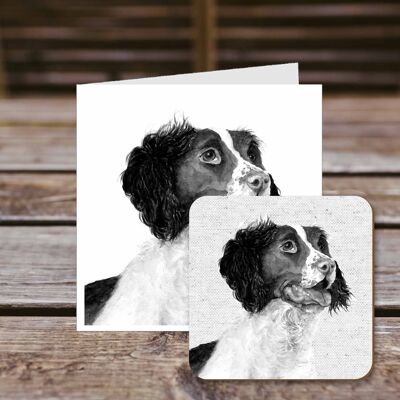 Coaster greetings card, Barnaby, Springer Spaniel, 100% Recycled greetings card with quality gloss drinks coaster.