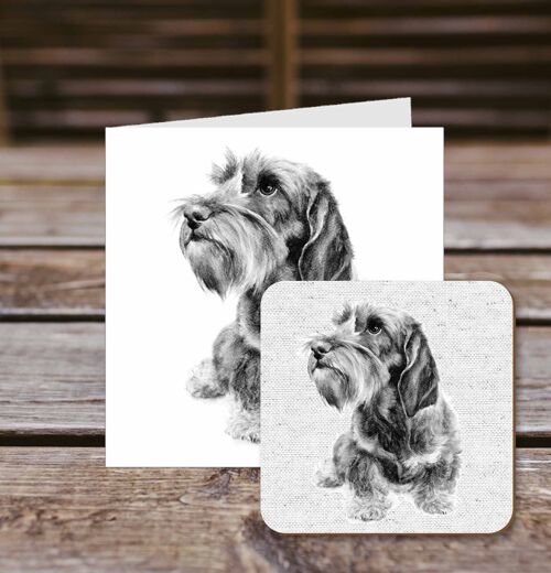 Coaster greetings card,Benson, Wirehaired Dachshund, 100% Recycled greetings card with quality gloss drinks coaster.
