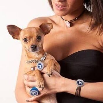 Collier/bracelet camée Chihuahua bleu 2