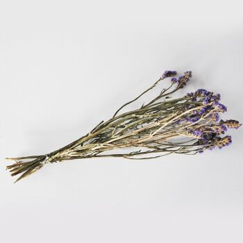 Arrangements floraux - Statice sinuata naturel bleu - Fleurs séchées 6