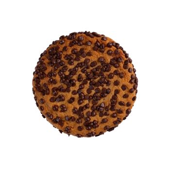 Cookie aux pépites de chocolat 1