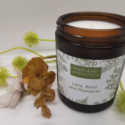 Handmade Soy Wax Candle - Lime, Basil and Mandarin