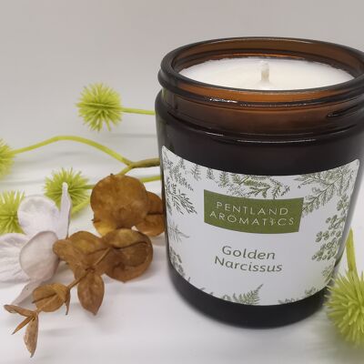 Handmade Soy Wax Candle - Golden Narcissus