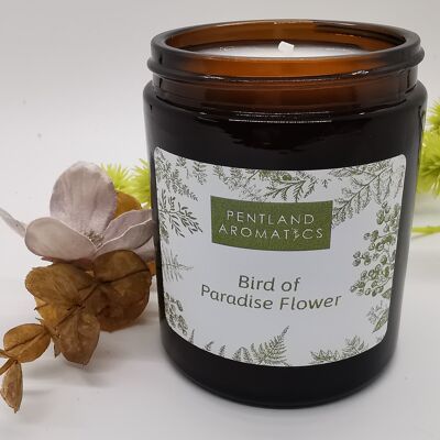 Handmade Soy Wax Candle - Bird of Paradise