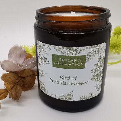 Handmade Soy Wax Candle - Bird of Paradise