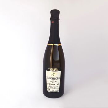 PROSECCO VALDOBBIADENE SUPERIORE DOCG - Vin mousseux blanc aux bulles délicates et au goût sec mais parfumé. Remplacement parfait du champagne.