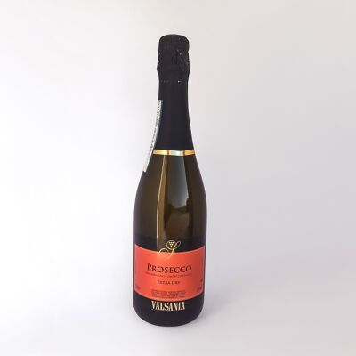 PROSECCO DOC, white, fruity sparkling wine.   Excellent for SPRITZ, but also alone.
