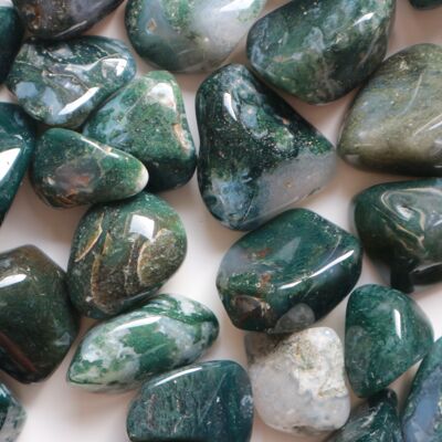 Moss agate tumbled stones - large