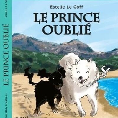 LE PRINCE OUBLIE