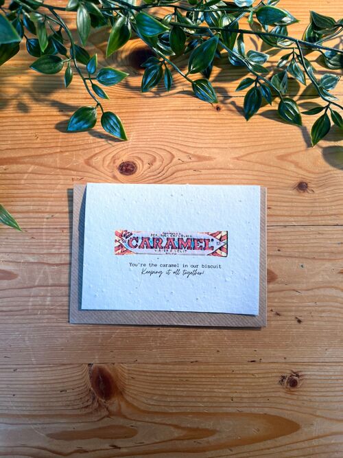 Keeping It All Together - Paper Seed Card