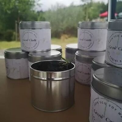 Grow Candle - Scottish Raspberry & Peppcorns