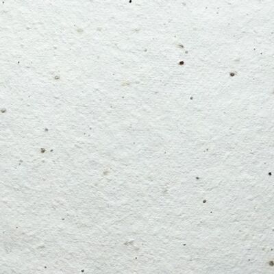 Macareux - Carte de semences en papier