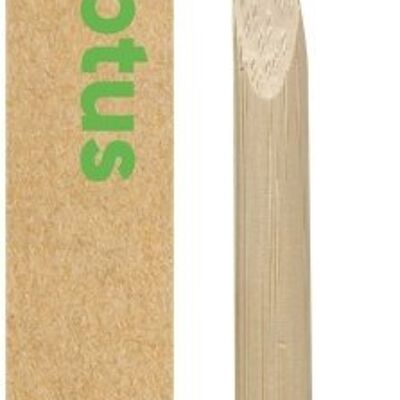 Hard Bristle Bamboo Toothbrushes - Green