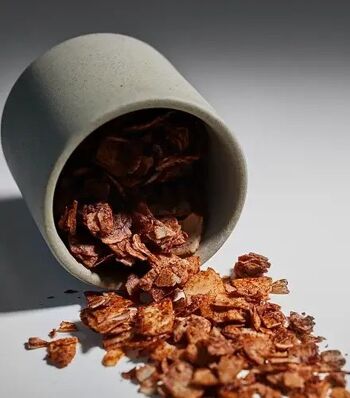 Chips de Noix de Coco Bio Premium Cacao 70g 3