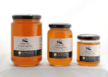 Chestnut Honey - 500g 2