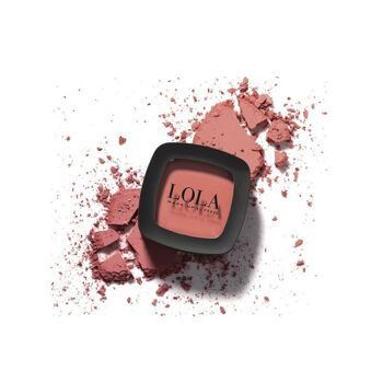 BLUSHER MONO - 005-Rose Sombre 3