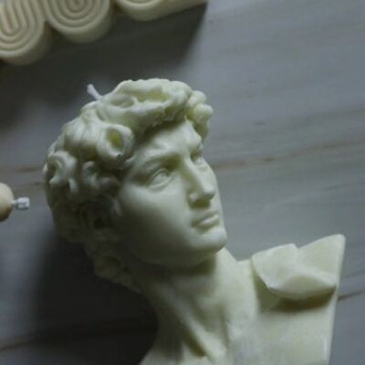 David Michelangelo bust novelty decor aesthetic  Highworth candle