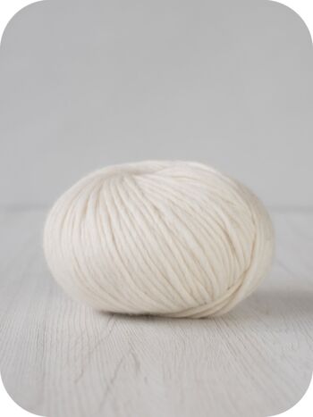 Gomitolo 100g de Lana Merino Extrafine - Collezione Classici 1