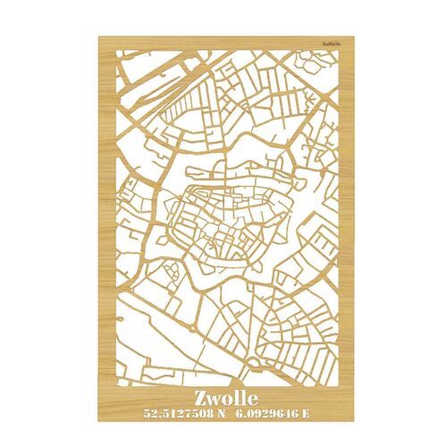 citymap-zwolle-eiken-60x90cm