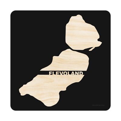 provincia-flevoland-nero-49x49cm