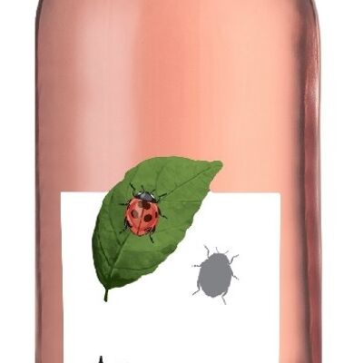 AOC Ventoux Altisud organic rosé 2022 75cl