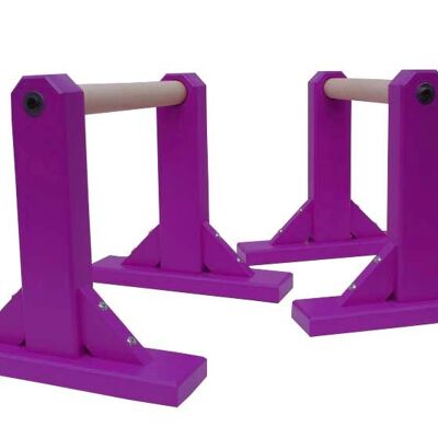 Pair of Tall Paralettes - Purple (QBS319)