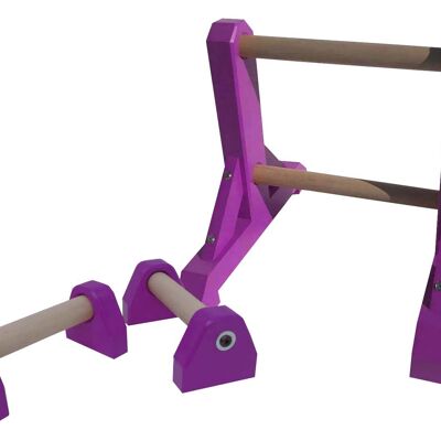 Duo Set – 2 Tier Ladder with Pair of Mini Paralettes - Purple (QBS365)