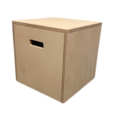 Acro Plyometric Box (QBS444)