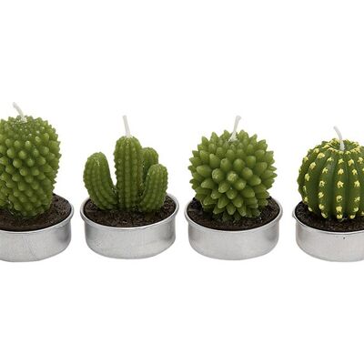 Teelicht Kaktus sortiert, B5 x T4 cm