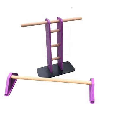 Duo Set - Hip Flexor and Handstand Bar - Purple (QBS529)