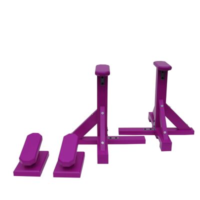 DUO SET - Standard Pedestals (Octagonal Grip) and Yoga Blocks - Purple (QBS641)