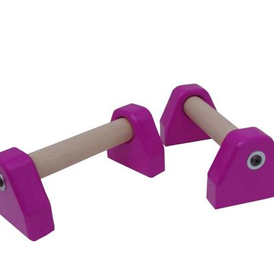 Pair of Mini Paralettes - Purple (QBS689)