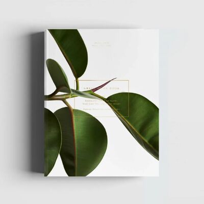 Buch: Green Home Book