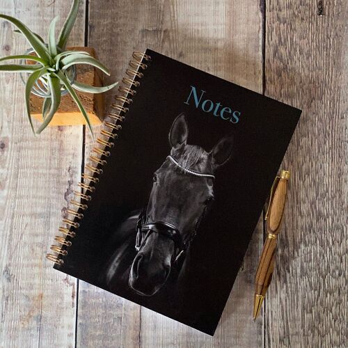 Notebook - Horse notebook with A5 horse notebook with 75 blank pages inside