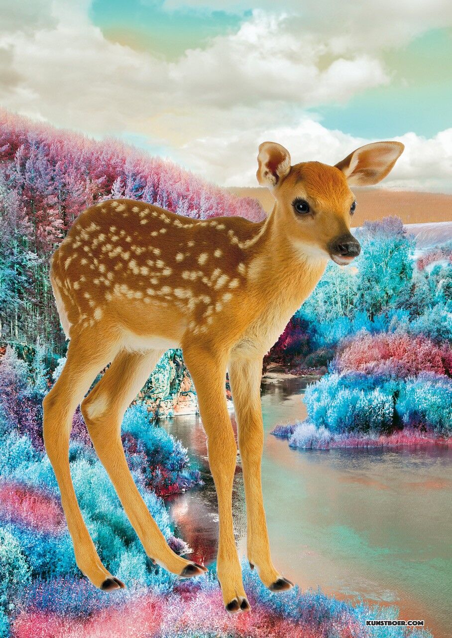 Póster Kunstboer ciervo / Bambi, 5 piezas