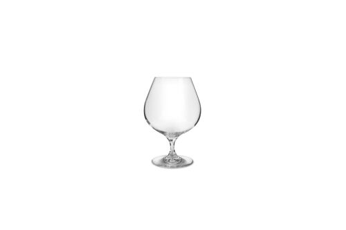 Cognacglas 66cl Cuvee - set/2