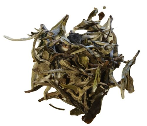 Full Leaf White Tea | White Wings