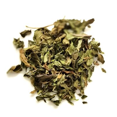 Herbal Tisane | After Noon Peppermint (Large Leaf Peppermint)
